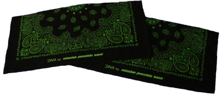 Bandana Tuch "DIVA" mit Paisley Muster in schwarz/grün - zum Schließen ins Bild klicken